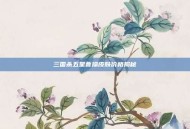 三国杀五星曹操皮肤价格揭秘