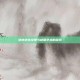 绝地求生纹理与材质艺术的探索