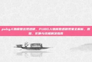 pubg人物模型出现透明，PUBG人物模型透明现象全解析，原因、影响与终极解决指南