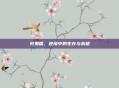 穷鬼盾，逆境中的生存与希望
