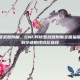 dnf阿修罗武器附魔，DNF阿修罗武器附魔全面指南，从平民到毕业的性价比选择
