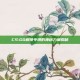 CS:GO解锁令牌的神秘力量揭秘