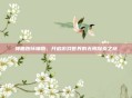 神曲跑环辅助,开启游戏世界的无限探索之旅