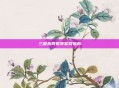 三国杀网页转官网指南