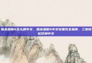 猎杀潜航4怎么调中文，猎杀潜航4中文设置完全指南，三步轻松切换中文