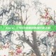 Kura，CSGO女解说的独行侠之路