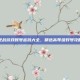 逆战游戏账号密码大全，精选高等级好号攻略