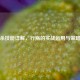三国杀技能详解，行殇的实战运用与策略解析