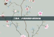 三国杀，卢直的策略与智慧较量