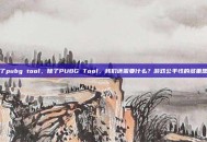 除了pubg tool，除了PUBG Tool，我们还需要什么？游戏公平性的多重思考