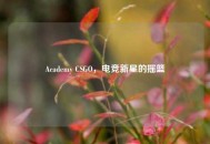 Academy CSGO，电竞新星的摇篮