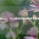 解码Steam，181110背后的数字游戏文化密码