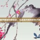 和平精英玩家自述，与鲨鱼共舞的冒险之旅