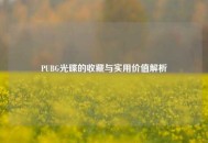 PUBG光碟的收藏与实用价值解析