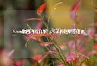 Steam取回功能详解与常见问题解答指南