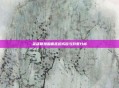 英雄联盟画面延迟成因与对策分析