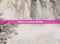 只狼在Steam上的英文名称探索