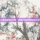 王者荣耀英雄全览，探索游戏世界的奇幻之旅
