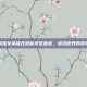 王者荣耀女英雄无遮蔽视觉盛宴，虚拟世界的视觉奇观