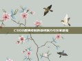 CSGO盾牌皮肤的独特魅力与玩家体验
