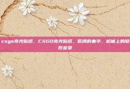 csgo亮光贴纸，CSGO亮光贴纸，低调的奢华，枪械上的隐形富豪