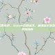 steam巴西货币，Steam巴西货币，解锁低价游戏的捷径与风险指南