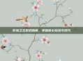 影流之主游戏指南，掌握核心玩法与技巧