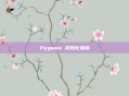 Pygame 初始化指南