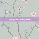 Pygame 初始化指南