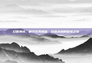 幻想神域，副手任务揭秘，开启未知的冒险之旅