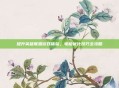 提升英雄联盟游戏体验，电脑优化技巧全攻略