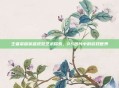王者荣耀英雄视觉艺术探索，PS图片中的游戏世界