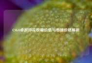 CSGO卓越印花收藏价值与市场价格解析