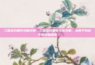 三国志刘备传攻略详细，三国志刘备传完整攻略，从新手到高手的详细指南