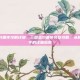 三国志刘备传攻略详细，三国志刘备传完整攻略，从新手到高手的详细指南