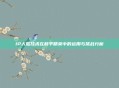 IP人脸技术在和平精英中的运用与挑战分析