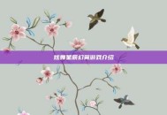 炫舞星辰幻翼游戏介绍