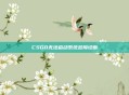 CSGO无法启动系统故障诊断