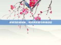 波波沙价格揭秘，探索其价值与市场动态