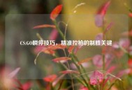 CS:GO瞬停技巧，精准控枪的制胜关键
