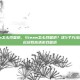 steam怎么找壁纸，Steam怎么找壁纸？这5个方法让你轻松获取高清游戏壁纸