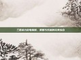 三国杀九游电脑版，策略与乐趣的完美结合