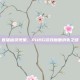 直播幽灵现象，PUBG游戏画面消失之谜