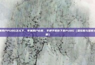 苹果用户PUBG怎么下，苹果用户必看，手把手教你下载PUBG（国际服与国服全攻略）