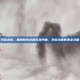 孕前注意，拥抱新生命的完美序曲，孕前注意事项全攻略