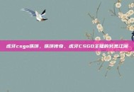 虎牙csgo铁饼，铁饼传奇，虎牙CSGO主播的另类江湖