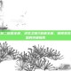 求生之路二秘籍全部，求生之路2秘籍全解，解锁激爽生存体验的终极指南
