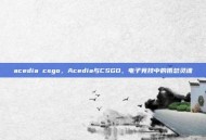 acedia csgo，Acedia与CSGO，电子竞技中的倦怠灵魂