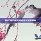 DNF蒸汽朋克风格套装深度解析