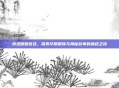 奇迹暖暖宫廷,探索华丽服饰与神秘故事的融合之旅